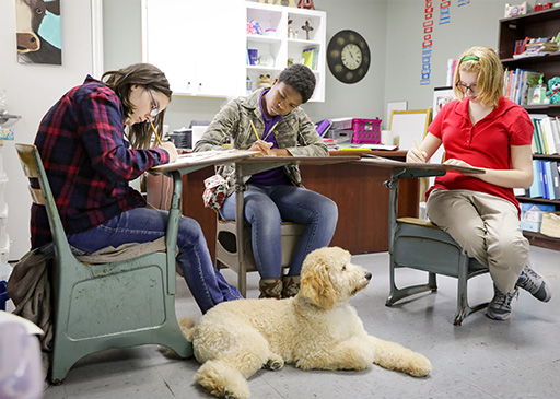 three students looking down and writing at their desks, with their desks forming a half circle, with a dog laying down on the floor between the desks